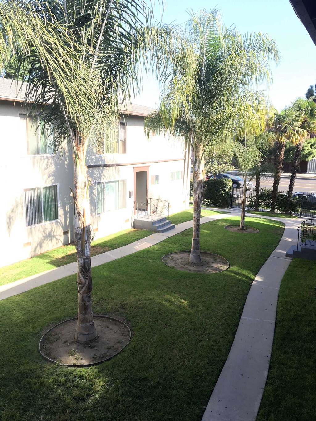 a yard with palm trees in front of a building