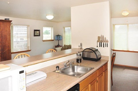 a kitchen with a sink and a counter top