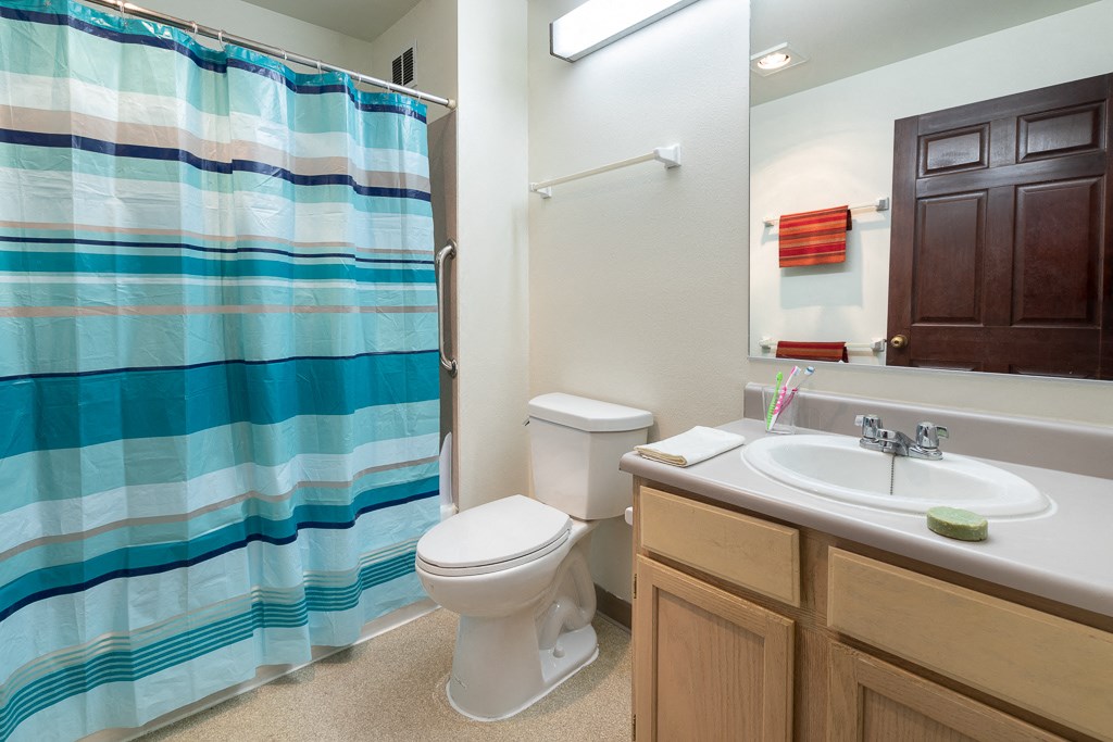 a bathroom with a shower toilet sink and a mirror