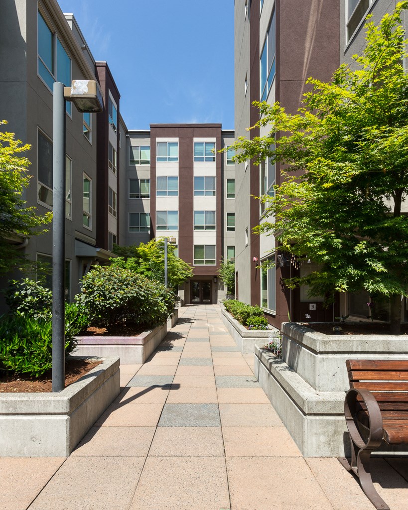 a sidewalk with benches and trees in front of a building