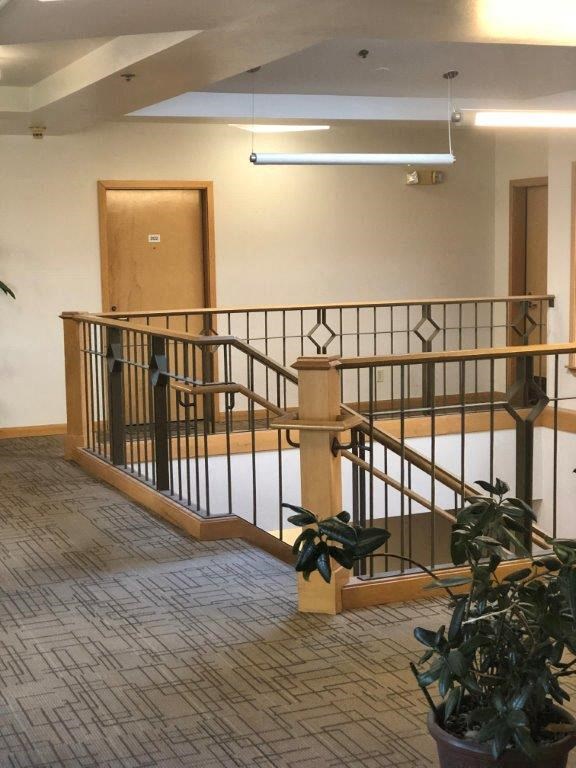 a staircase in a building with a potted plant