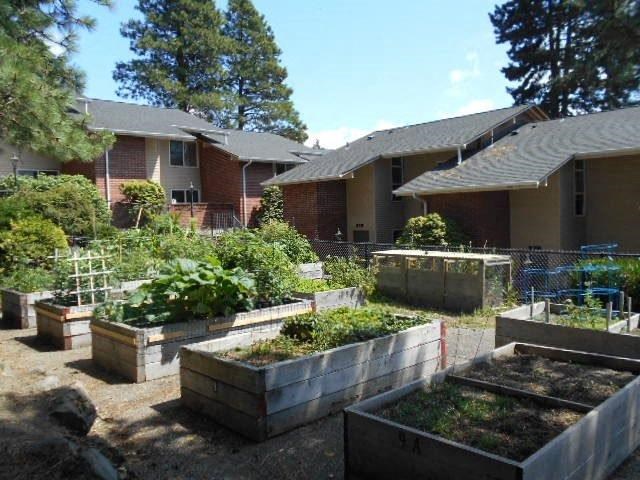 a group of raised garden beds in front of a house