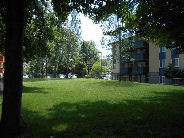 a large green lawn in front of an apartment building