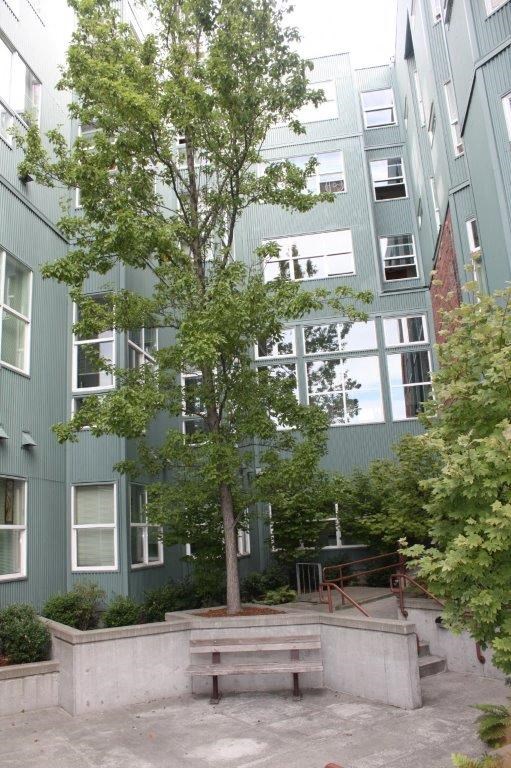 an apartment building with a tree and benches in front of it