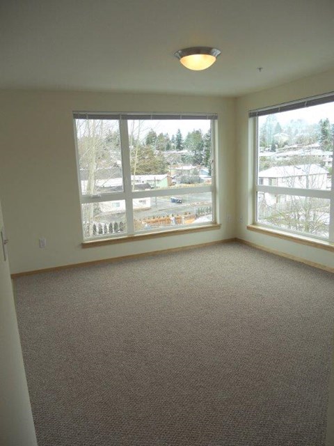 A room with a carpeted floor and two large windows.