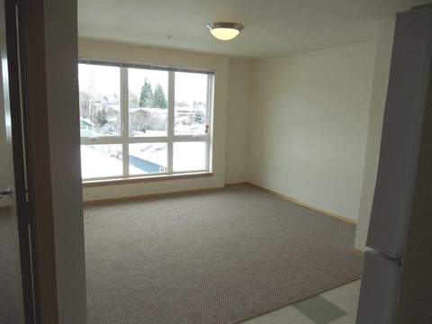 A room with a carpet floor and a window showing a snowy landscape outside.