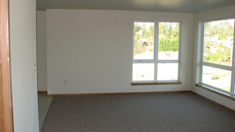 A room with a carpeted floor and two windows.