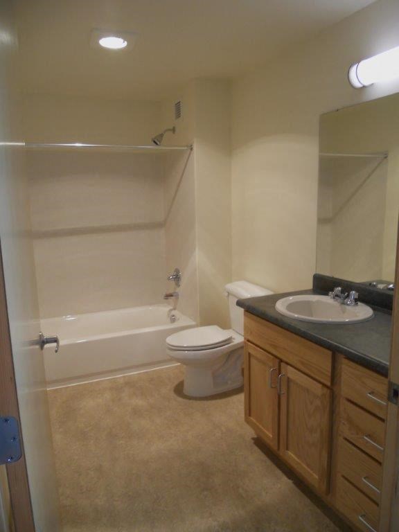 a bathroom with a sink toilet and a shower