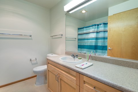 A bathroom with a toilet, sink, and mirror.