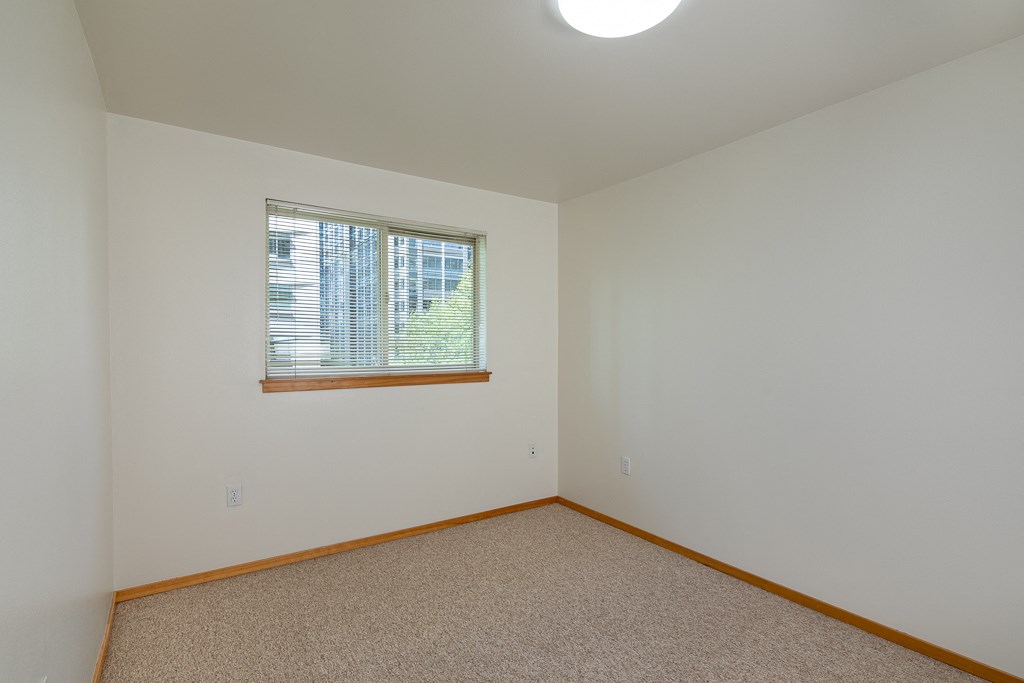 A room with a window and carpeted floor.