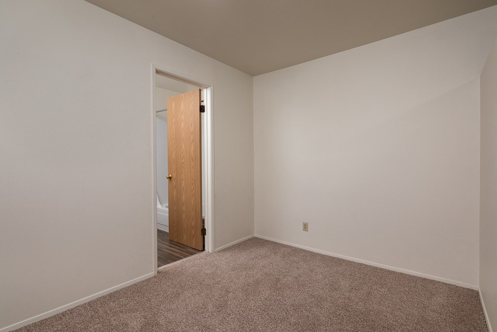 an empty bedroom with carpet and a door to a closet