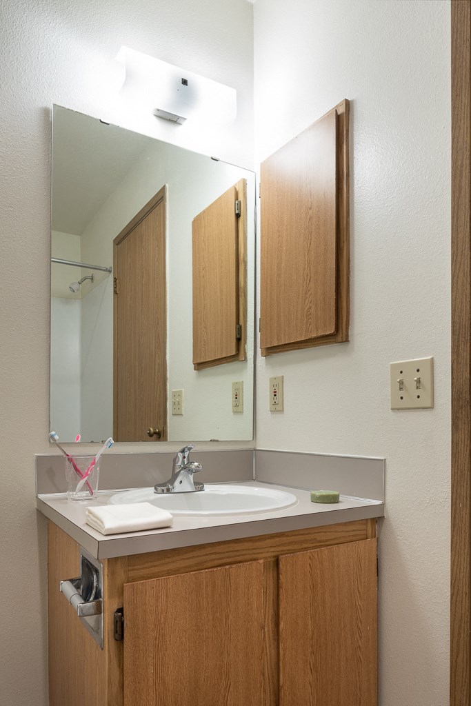 a bathroom with a sink and a mirror
