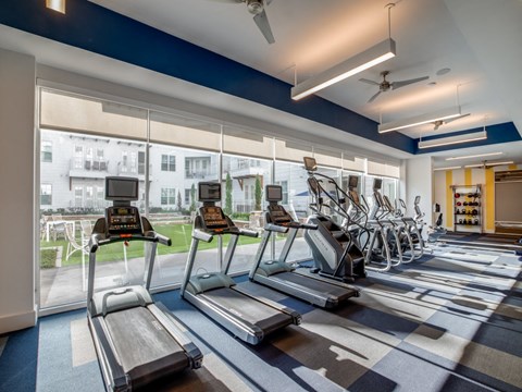 A gym with treadmills and exercise bikes.