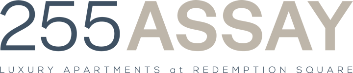 255 Assay logo