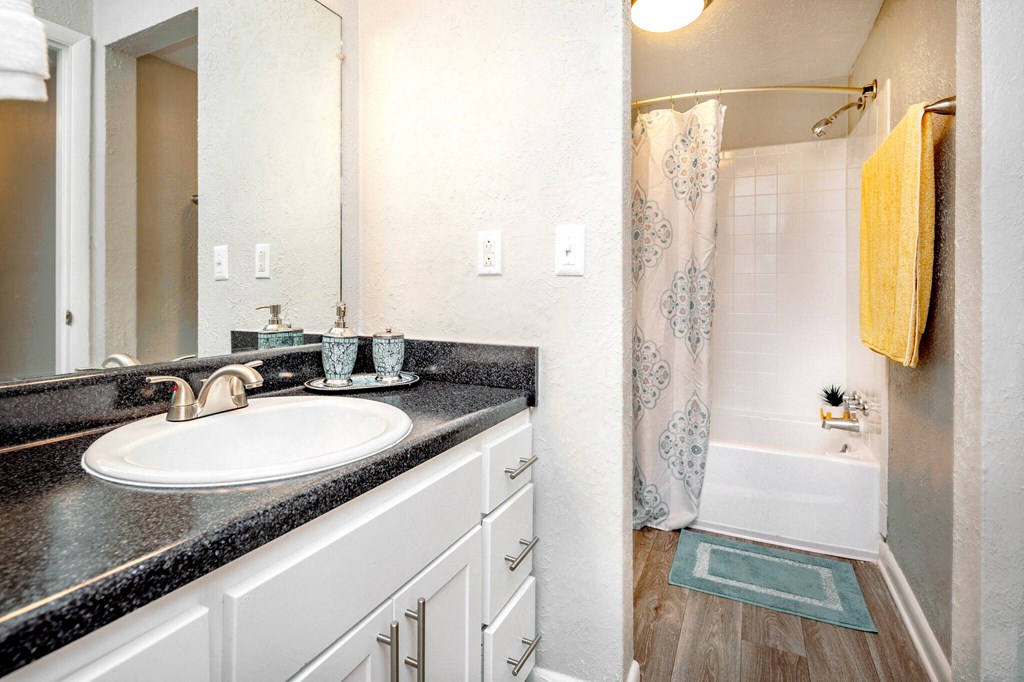 a bathroom with a sink and a shower and a mirror