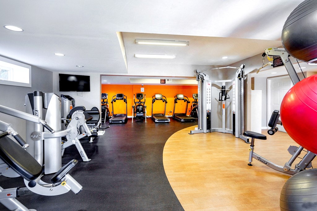 a gym with cardio equipment and weights on the floor