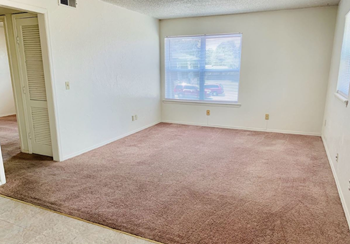 Living room with carpet and large window - Photo Gallery 2