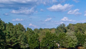 Lory of Hillsborough Aerial with Water Lory of Hillsborough Aerial with Water - Photo Gallery 5