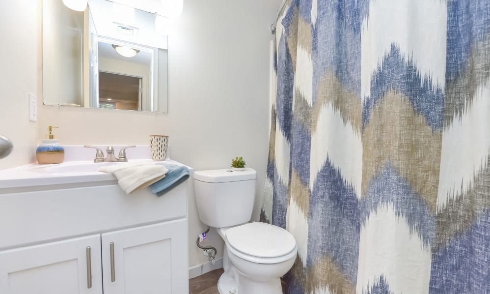 a bathroom with a shower curtain and a toilet and a sink