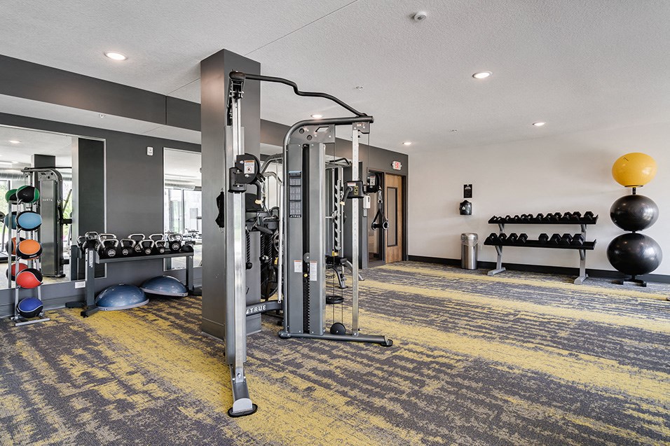 a gym with weights and cardio equipment at the preserve at great neck apartments