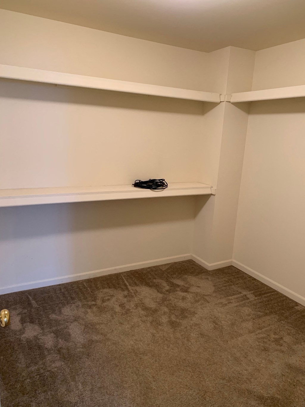 a room with a shelf and a carpet