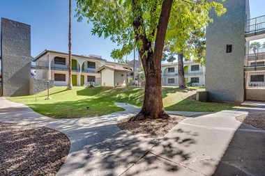 2912 E Indian School Rd Studio-1 Bed Apartment for Rent - Photo Gallery 9