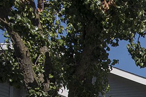 Photos And Video Of Vue At The Lake In Sacramento Ca