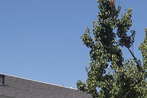 Photos And Video Of Vue At The Lake In Sacramento Ca
