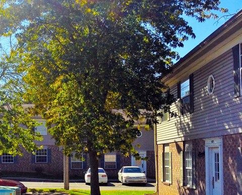 a tree in front of an apartment building