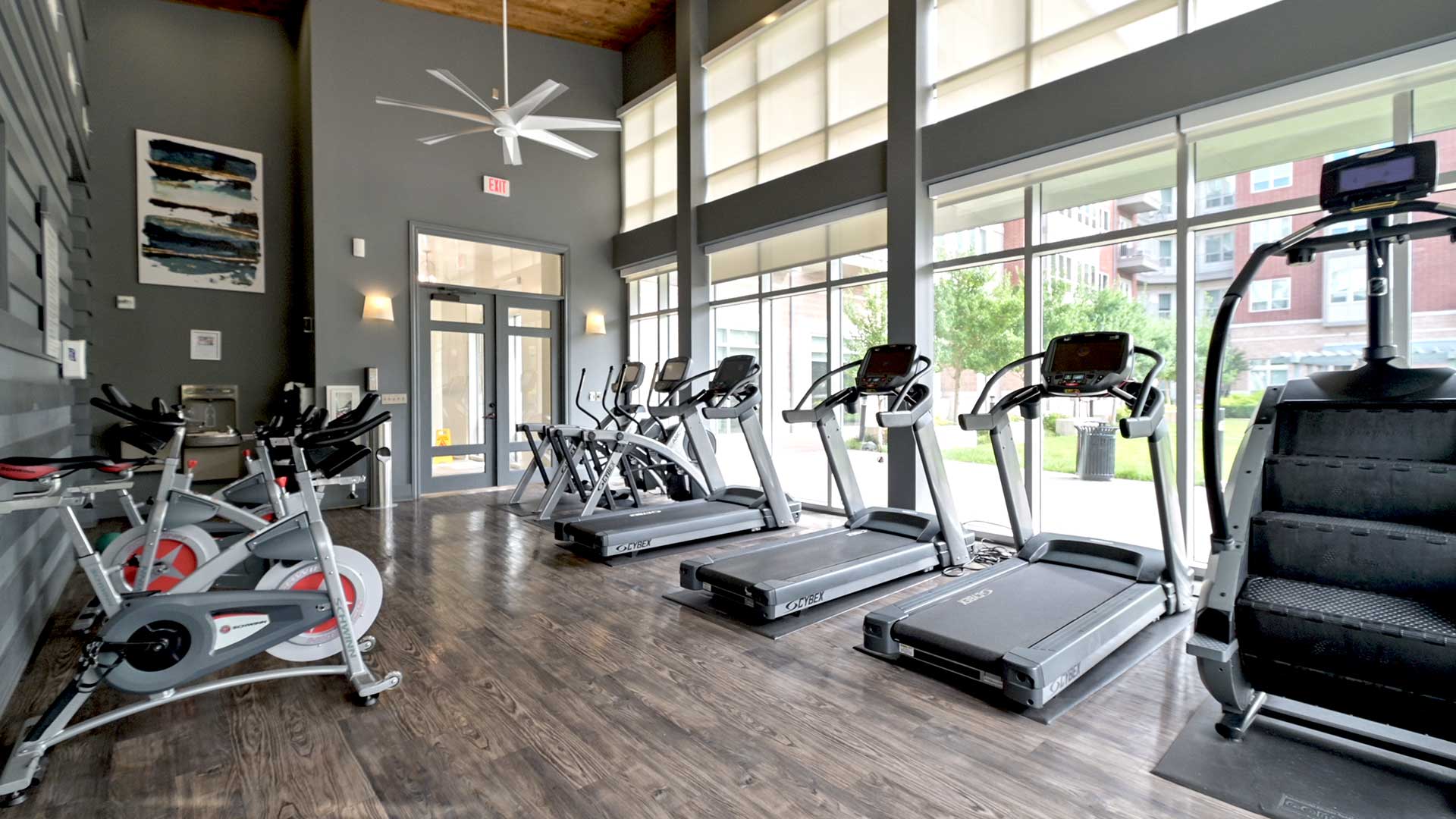 Windows line the right wall with treadmills and a stepper in front. Bicycles a lined up behind along the left wall.