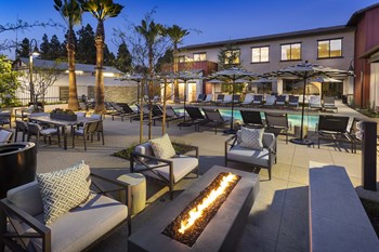 outdoor pool with firepit and lounge seating outdoor pool with firepit and lounge seating - Photo Gallery 5