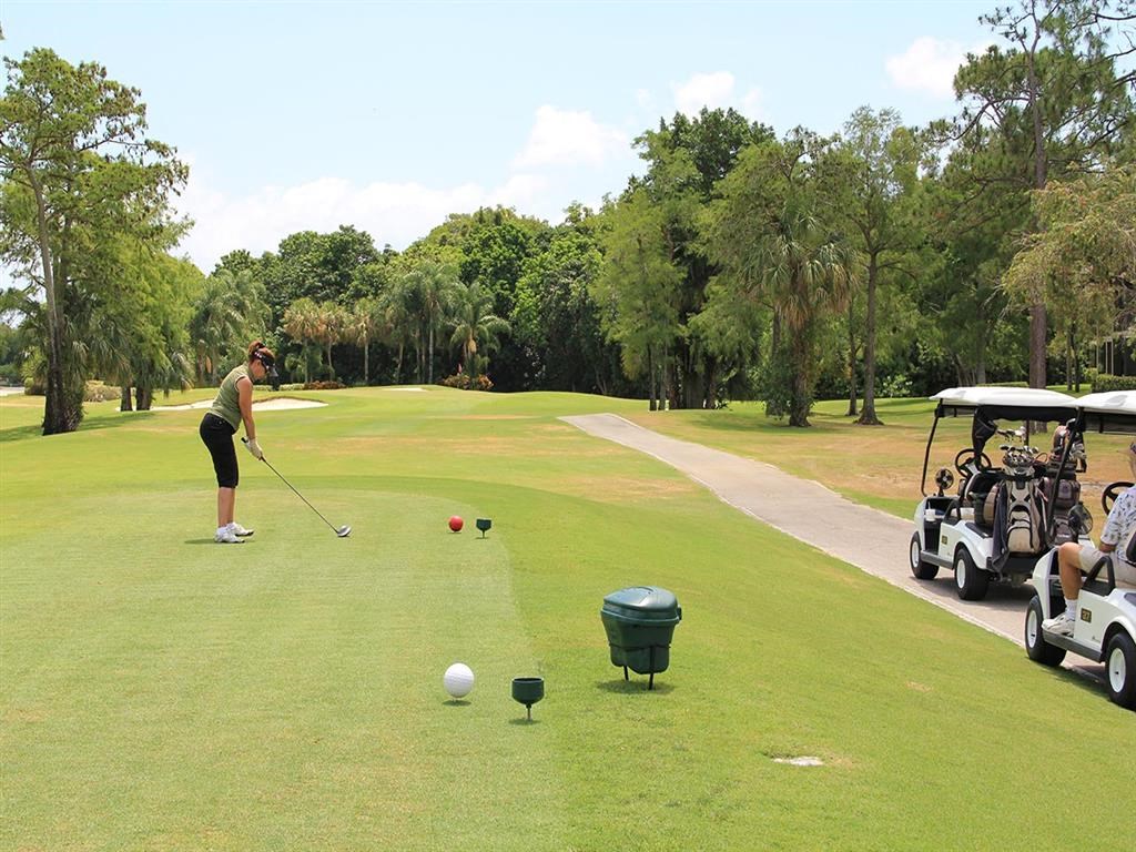 A golfer is about to hit a golf ball on a sunny day.