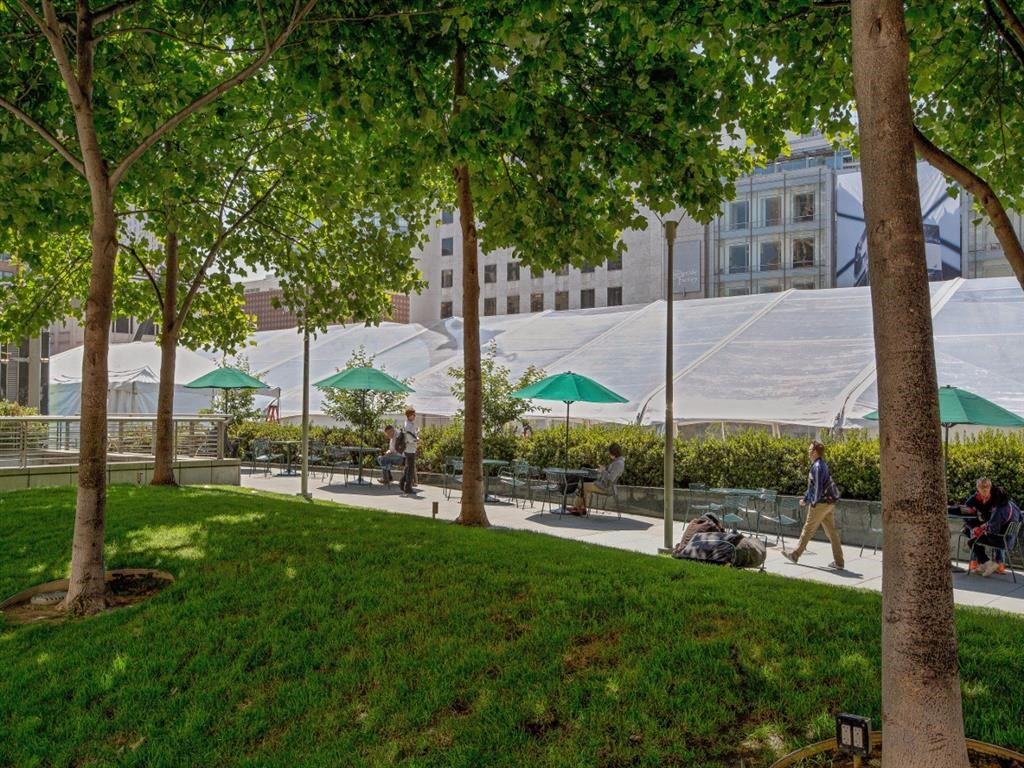 a park with trees and people sitting under umbrellas