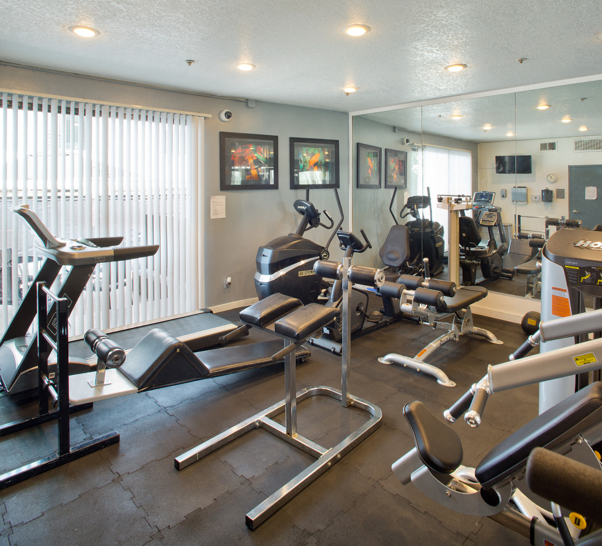 a gym with cardio equipment and weights on the floor