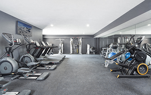 the gym is equipped with a variety of exercise equipment