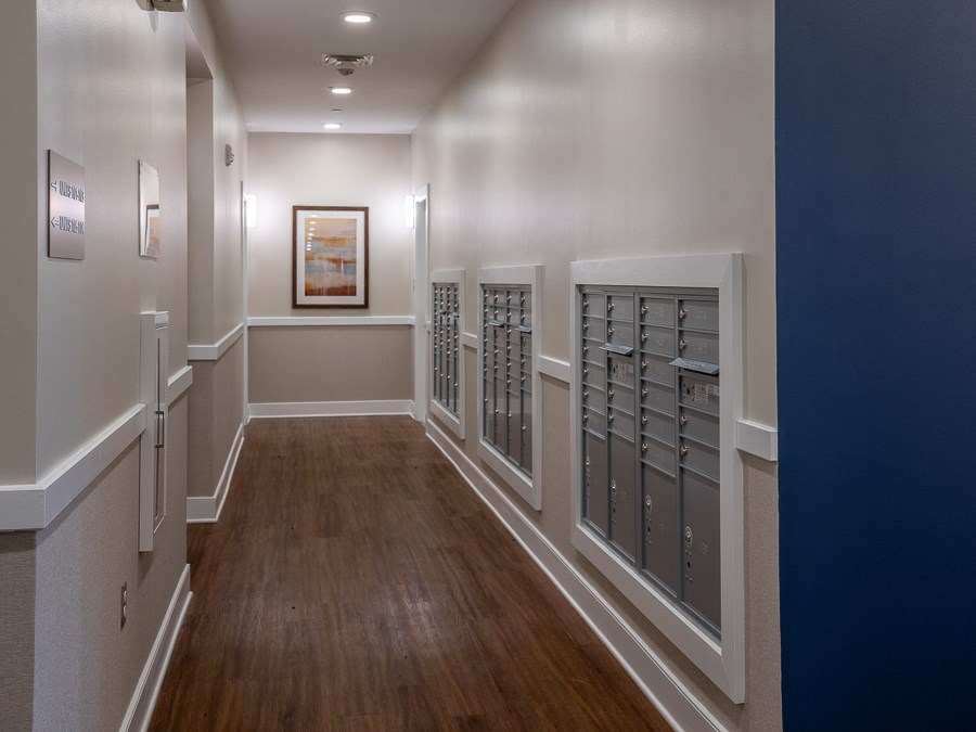 a tasting room with a row of wine racks and a wood floor
