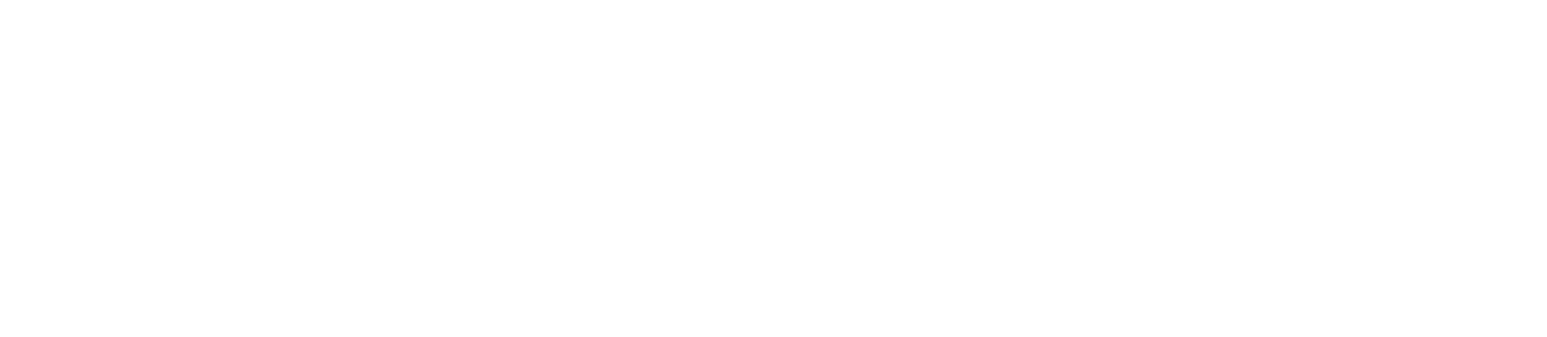 Borgata Apartments & Townhomes logo