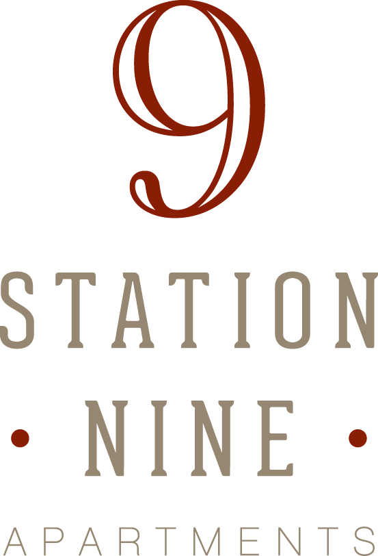 Station Nine logo