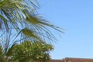 Swimming pools 2900 Sunridge Heights Pkwy 1-2 Beds Apartment for Rent - Photo Gallery 4