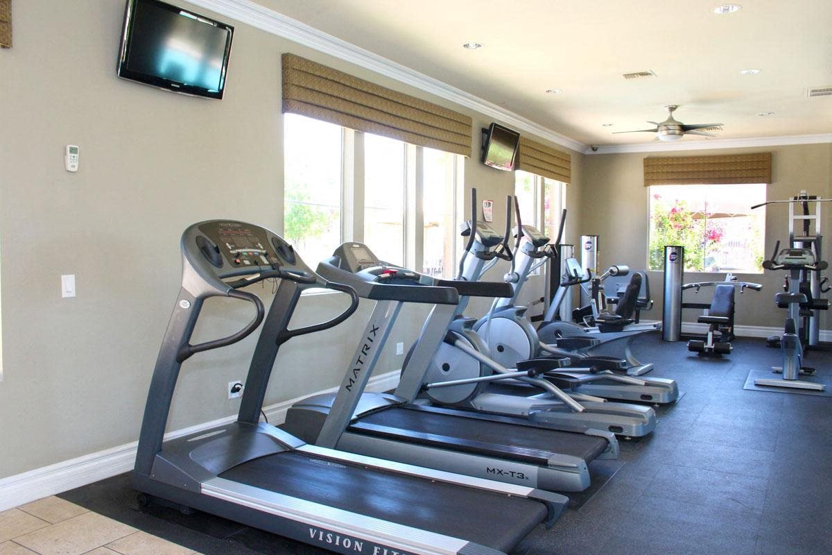 the gym is equipped with a variety of cardio equipment