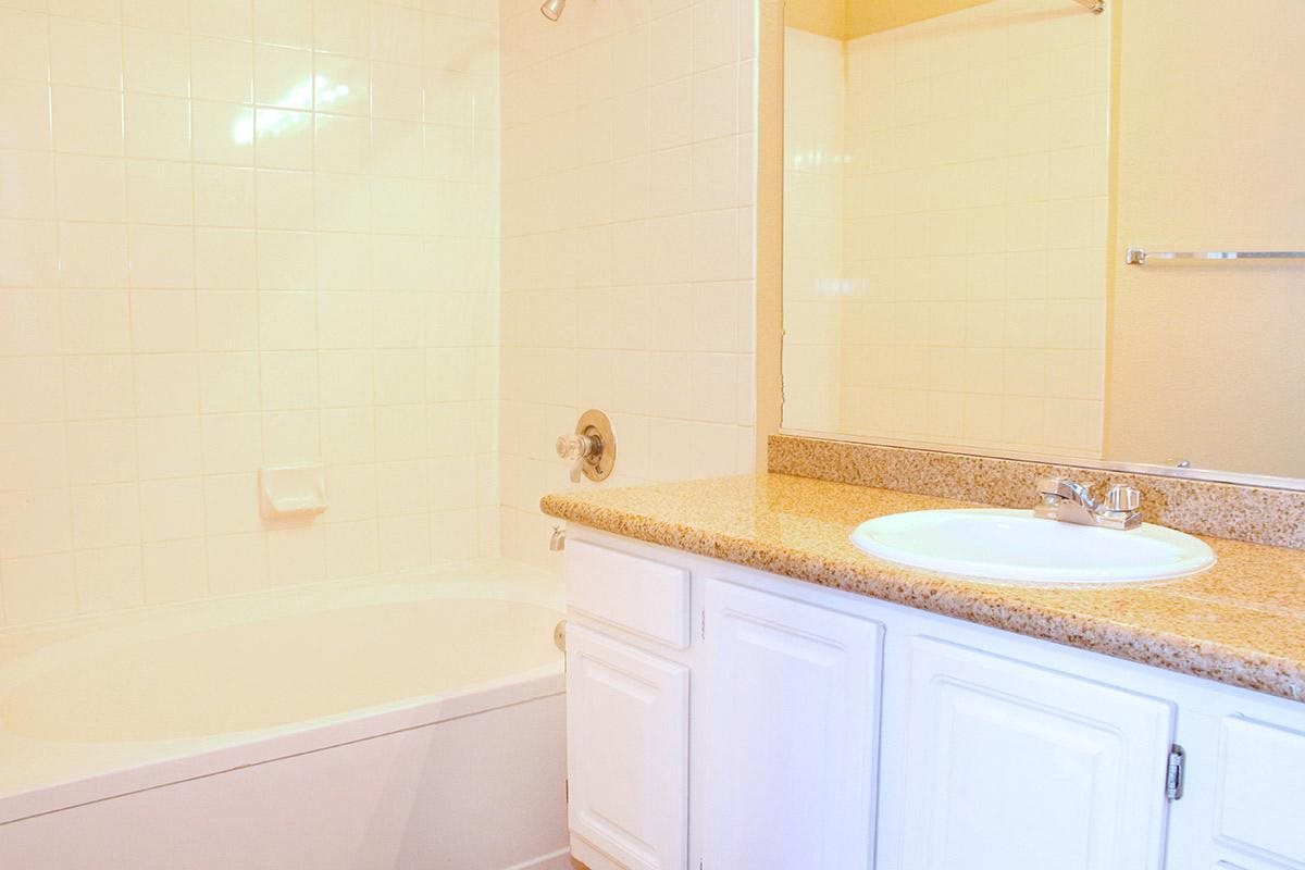 a bathroom with a sink and a tub and a mirror
