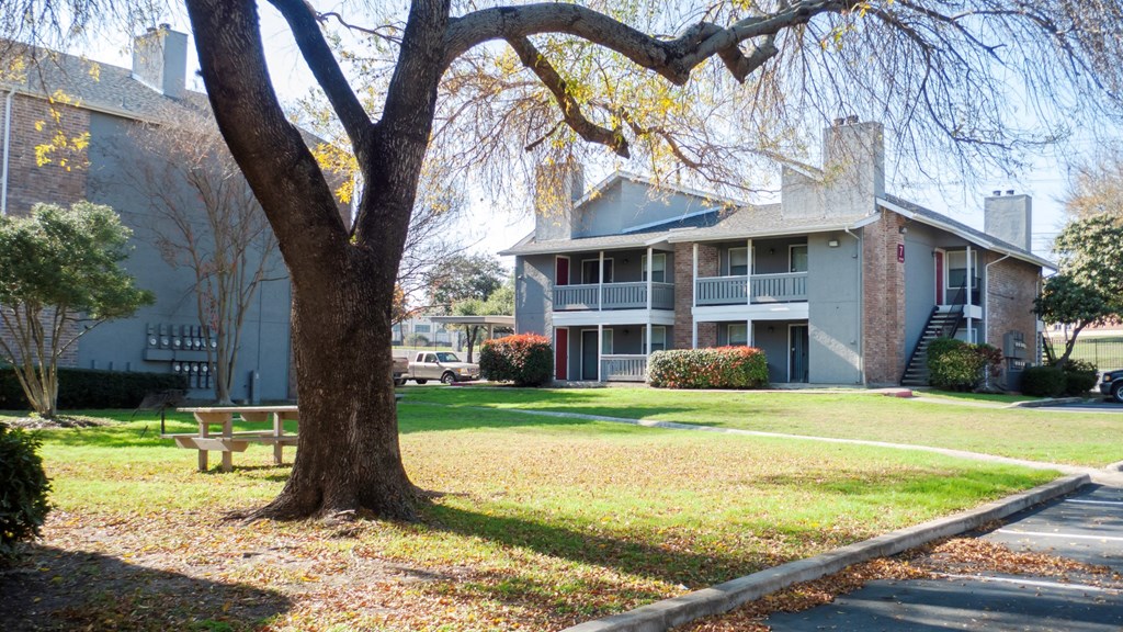 tree in front of out building