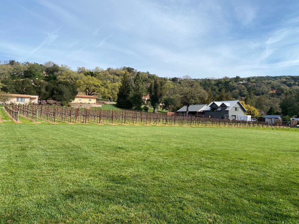 a vineyard in a field with a house in the background