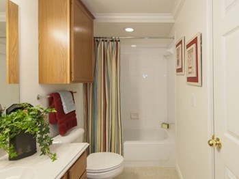 Regency At Stonebridge Ranch