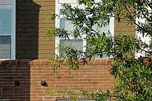 Exterior Gramercy Square at Ayrsley - Charlotte, NC - exterior - Photo Gallery 6