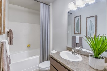 Apartments 28273 - Gramercy Square at Ayrsley - Modern bathrooms - Photo Gallery 2