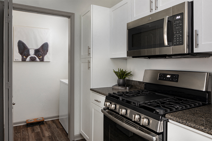 Highlands at Dearborn apartments in Peabody, MA - Gas stoves with Griddle