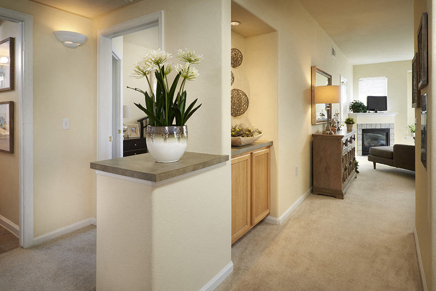 Madison Park Thornton, Colorado