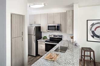 North Scottsdale Apartments - San Carlos - Beautifully renovated interiors with stainless steel appliances
