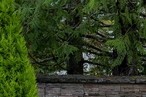 The Lodge At Redmond Ridge Apartments, 22433 NE Marketplace Dr, Redmond ...